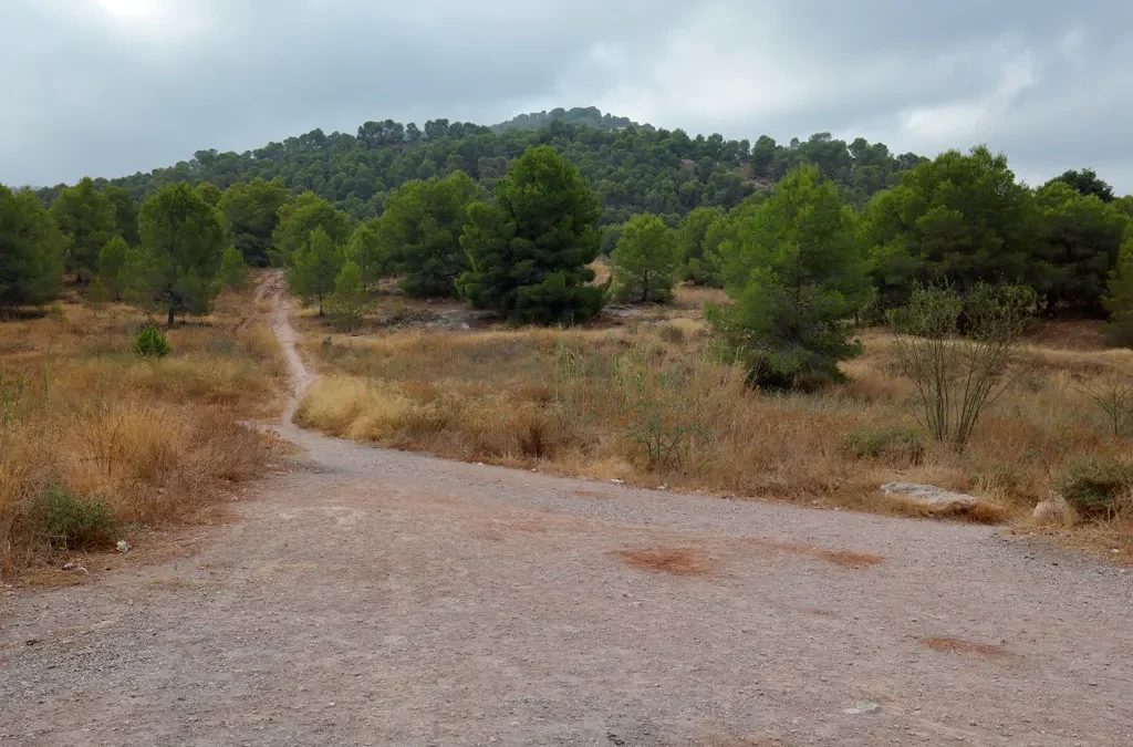 Riesgo de incendio y abandono en Santo Ángel