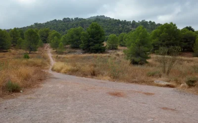 Riesgo de incendio y abandono en Santo Ángel